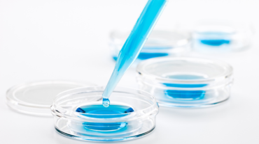 In Vitro Diagnostics (IVD)